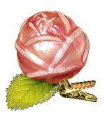 Beauty & Affection - Rose<br>Replacement Ornament